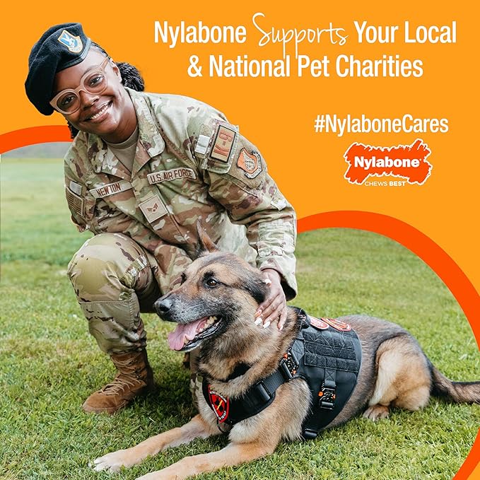 Nylabone Healthy Edibles WILD Natural Longer-Lasting Bison Flavor Bone Chew Treats for Dogs, Medium - Up to 35 lbs (2 Count)