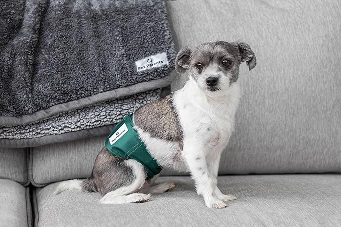 Pet Parents® Washable Belly Bands for Male Dogs (3pack) + Extendrs® of Durable Dog Diapers Male, Premium Male Dog Diapers & Dog Wraps (X-Large, Spruce)