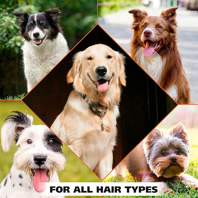 Wahl USA Cornflower Scented Pet Deodorant Spray for All Dogs & Cats – Clean Fresh Smell Refreshes & Deodorizes – 8 oz - Model 820009A