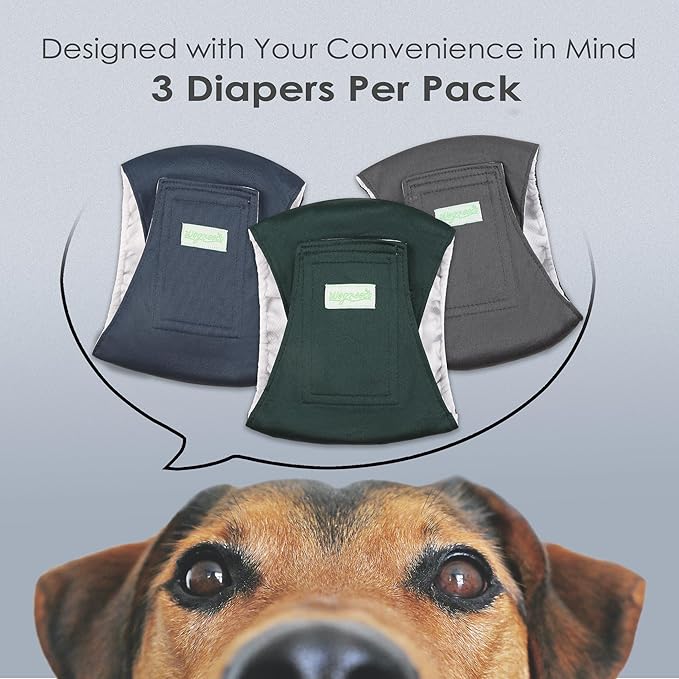 wegreeco Washable Male Dog Belly Band (Stylish Pattern)- Pack of 3 - Washable Male Dog Belly Wrap, Dog Diapers Male (Blue, Green, Charcoal, X-Small)