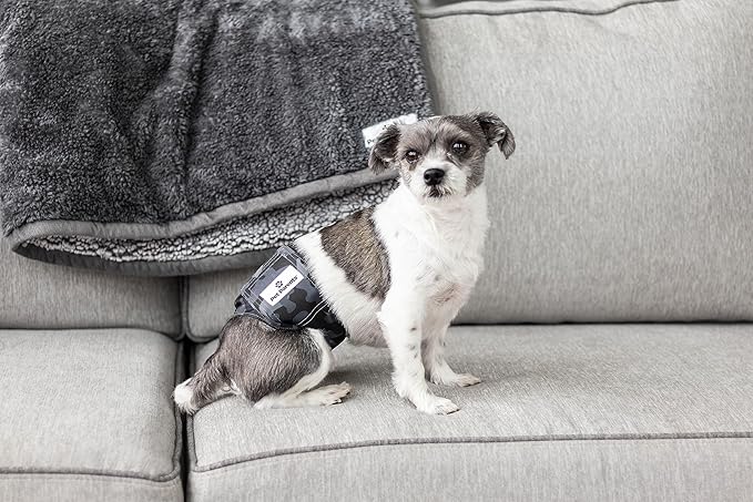 Pet Parents® Washable Belly Bands for Male Dogs (3pack) + Extendrs® of Durable Dog Diapers Male, Premium Male Dog Diapers & Dog Wraps (X-Large, Camo)