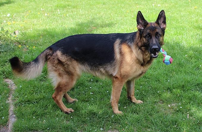 Jalousie 14 Pack Puppy Chew Dog Rope Toy Assortment for Small Medium Large Breeds