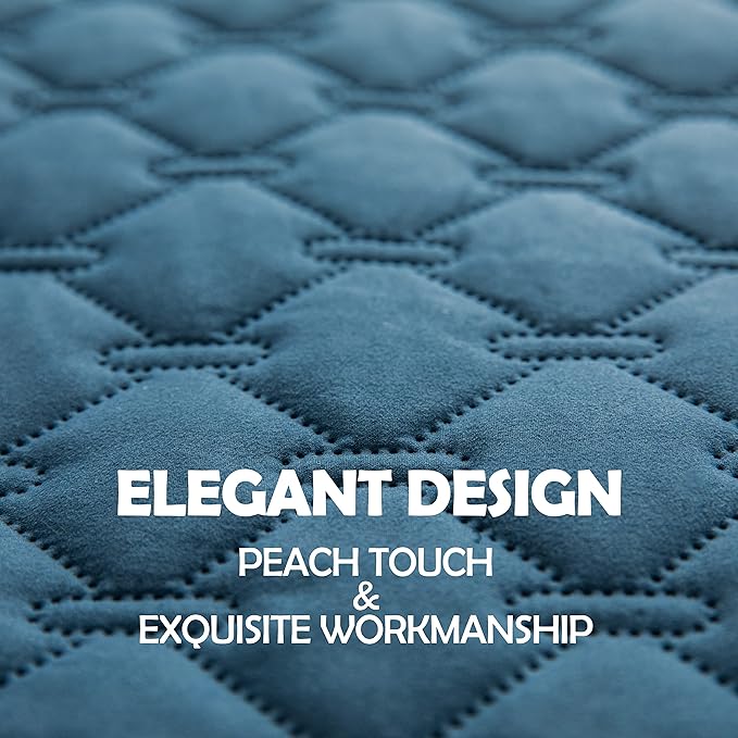 gogobunny 100% Double Sided Waterproof Dog Blanket Soft Pet Bed Cover Reversible Protect Furniture Couch Sofa Car for Puppy Cat Kids (Dark Blue/Light Blue, 30x80 Inch (Pack of 1))