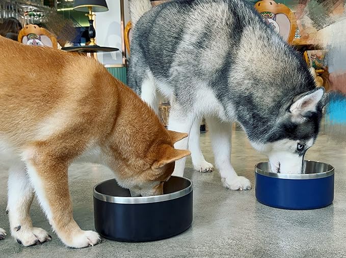 IKITCHEN Dog Bowl for Food and Water, 40 Oz Stainless Steel Pet Feeding Bowl, Durable Non-Skid Double Wall Insulated Heavy Duty with Rubber Bottom for Medium Large Sized Dogs (40 Ounces/5 Cup, Blue)
