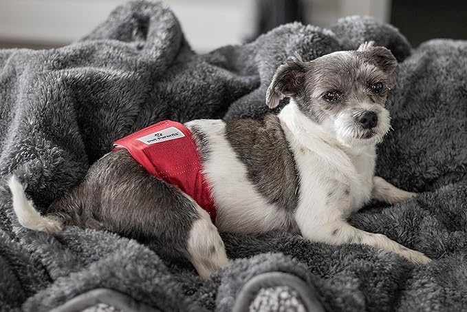 Pet Parents® Washable Belly Bands for Male Dogs (3pack) + Extendrs® of Durable Dog Diapers Male, Premium Male Dog Diapers & Dog Wraps (Large, Kingsmen)