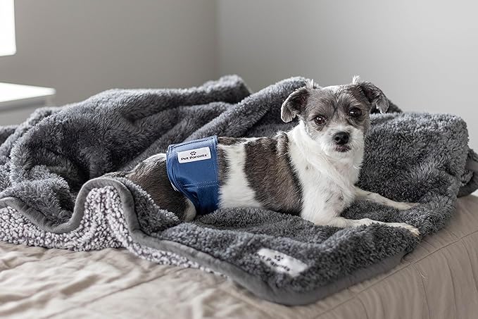 Pet Parents® Washable Belly Bands for Male Dogs (3pack) + Extendrs® of Durable Dog Diapers Male, Premium Male Dog Diapers & Dog Wraps (X-Large, Kingsmen)