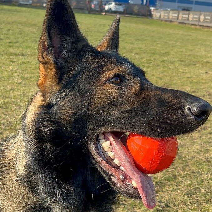 Dingo Toy for Dog, Durable TPR Rubber for chewers, Fetch Toy for Play, Boomerang 9.1", 17395 (Tomato)