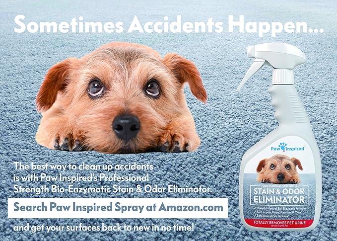 Paw Inspired 3ct Male Dog Wraps Washable, Belly Band for Dogs | Washable Dog Diapers, Reusable Male Dog Diapers for Marking (Medium (3 ct.), Assorted (White Lining))