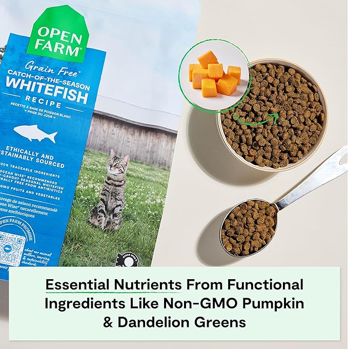 Open Farm, Grain Free Dry Cat Food, High-Protein Kibble for a Complete & Balanced Diet, Non-GMO Fruits & Vegetables, Prebiotic Fibers to Support Digestion, Catch-of-The Season Whitefish, 4lb Bag