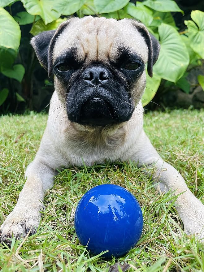 SuperChewy Tough Dog Ball Toy | Lifetime Replacement | Strong Natural Rubber | Great Dog Fetch Toy | Chew Toys for Dogs | Ultra Durable Chew Toys for Aggressive Chewers | Large Breed Tested