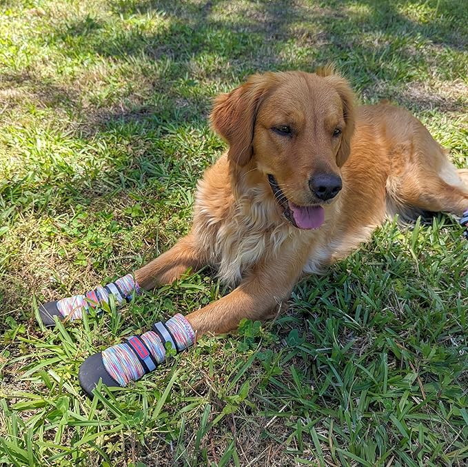 All Weather Neoprene Paw Protector Dog Boots with Reflective Straps in 5 Sizes! (Multicolor Medium)