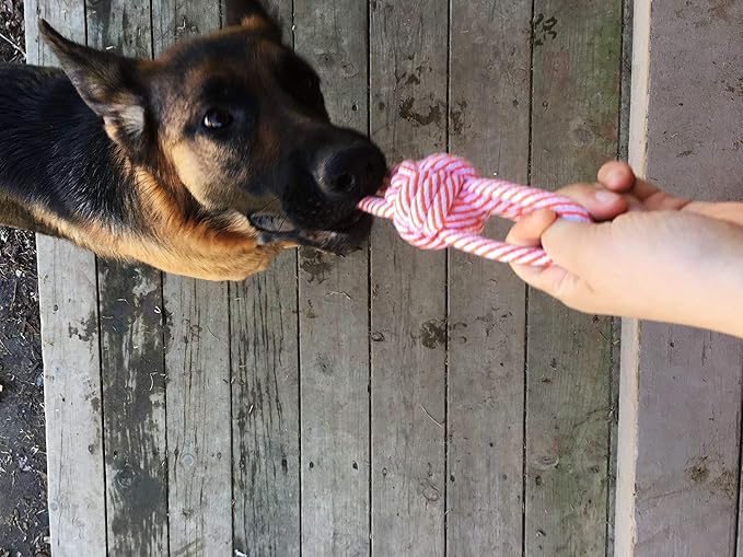 Jalousie 14 Pack Puppy Chew Dog Rope Toy Assortment for Small Medium Large Breeds