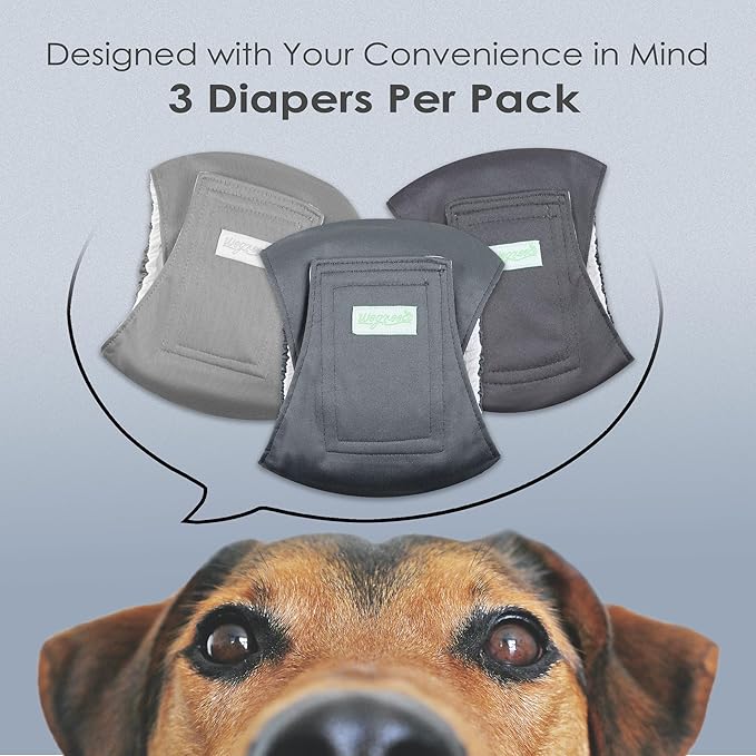 wegreeco Washable Male Dog Belly Band (Stylish Pattern)- Pack of 3 - Washable Male Dog Belly Wrap, Dog Diapers Male (Medium)