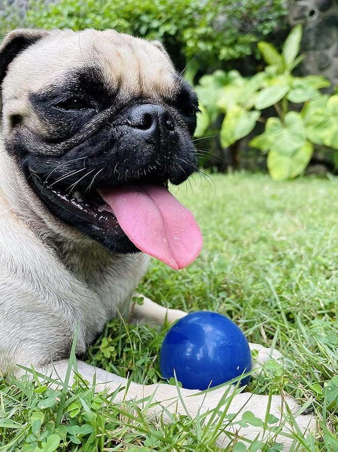 SuperChewy Tough Dog Ball Toy | Lifetime Replacement | Strong Natural Rubber | Great Dog Fetch Toy | Chew Toys for Dogs | Ultra Durable Chew Toys for Aggressive Chewers | Large Breed Tested