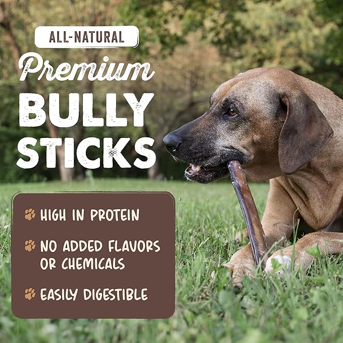 Mighty Paw Naturals Bully Sticks for Small & Medium Dogs - Grass Fed Beef Chews. Bully Sticks for Large Dogs. Lower Odor Stick Treat. Single Ingredient (6" - 5 Pack)