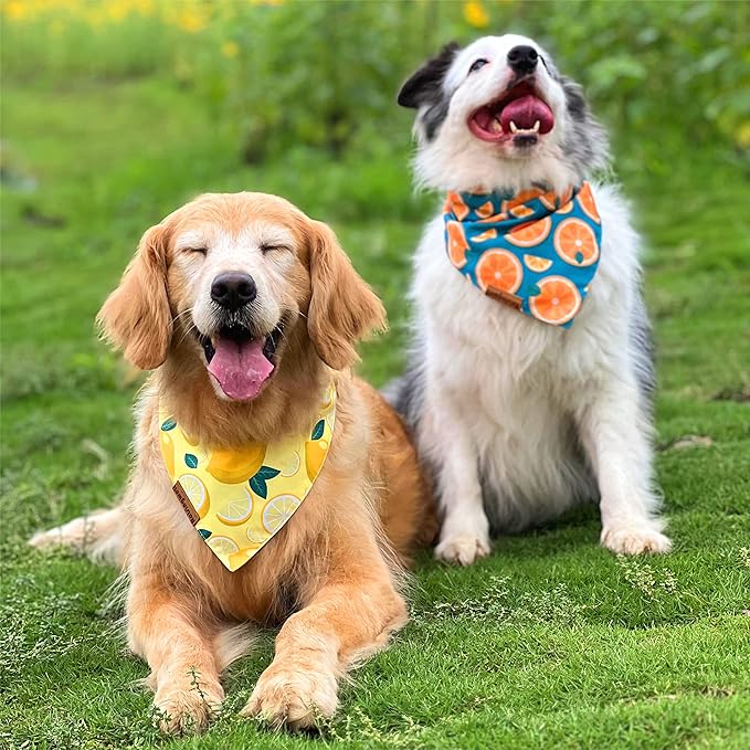 Cute Fruit Dog Bandanas 2 Pack, 4 Patterns Watermelon Lemon Orange Melon, Summer Dog Bibs for Large and XL Breed, Reversible Boy and Girl Pet Scarf（X-Large）