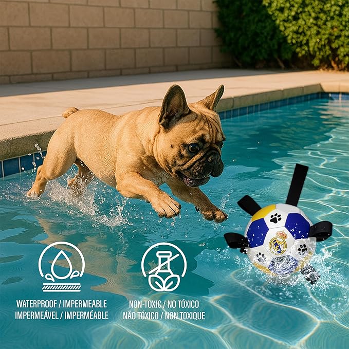 ProBall Pets Interactive Dog Soccer Ball with Grab Tabs - Floats on Water, Fetch & Training Toy for Small Medium Dogs, Herding Breeds - Waterproof Non-Toxic - 6" Real Madrid