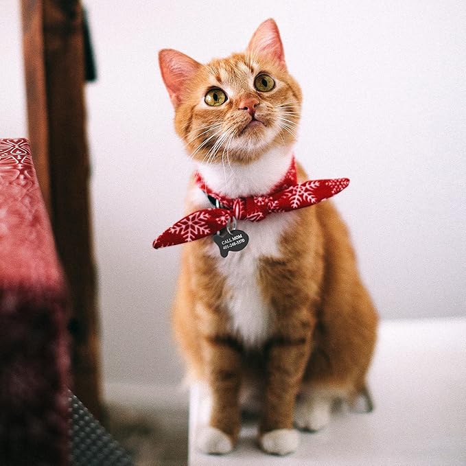 Ultra Joys Cat ID Tag Personalized Pet Tags, Durable Stainless Steel Small Pet Mini Dog Cat Tag Lightweight - Fish Tag in Black