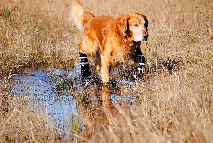 All Weather Neoprene Paw Protector Dog Boots with Reflective Straps in 5 Sizes! (Black Medium)