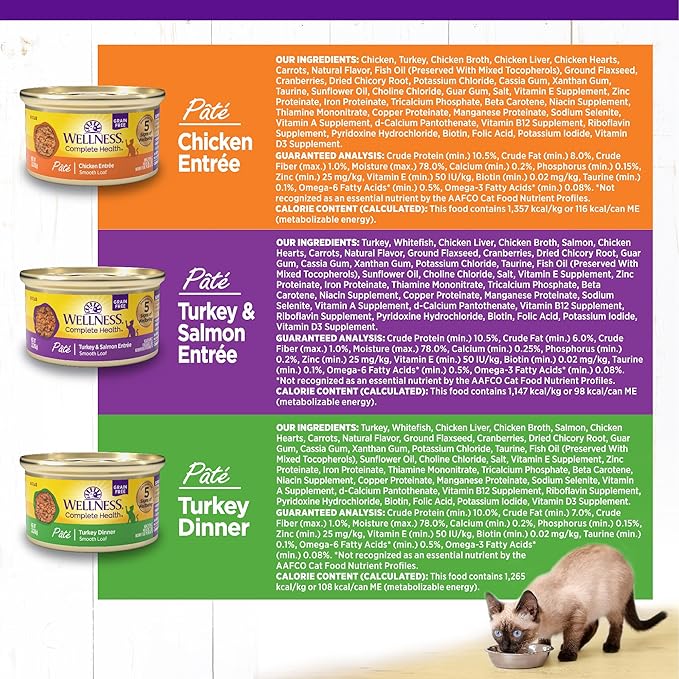 Wellness Complete Health Pate Adult Wet Cat Food, Natural, Protein-Rich, Grain Free, 3 Ounce, 12 Pack, (Chicken & Turkey Favorites Variety Pack)