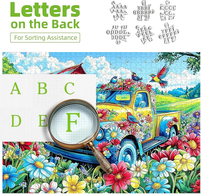 1000 Piece Puzzles for Adults, Graffiti Pickup Truck & Hummingbird Puzzle for Adults, Clearance Challenge Art Jigsaw Puzzle, for Gift Birthday Party Games Family, 27.5 * 19.7 Inch Dust Free Puzzle