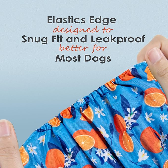 wegreeco Washable Male Dog Belly Band (Stylish Pattern)- Pack of 3 - Washable Male Dog Belly Wrap, Dog Diapers Male (Fruit, Medium)