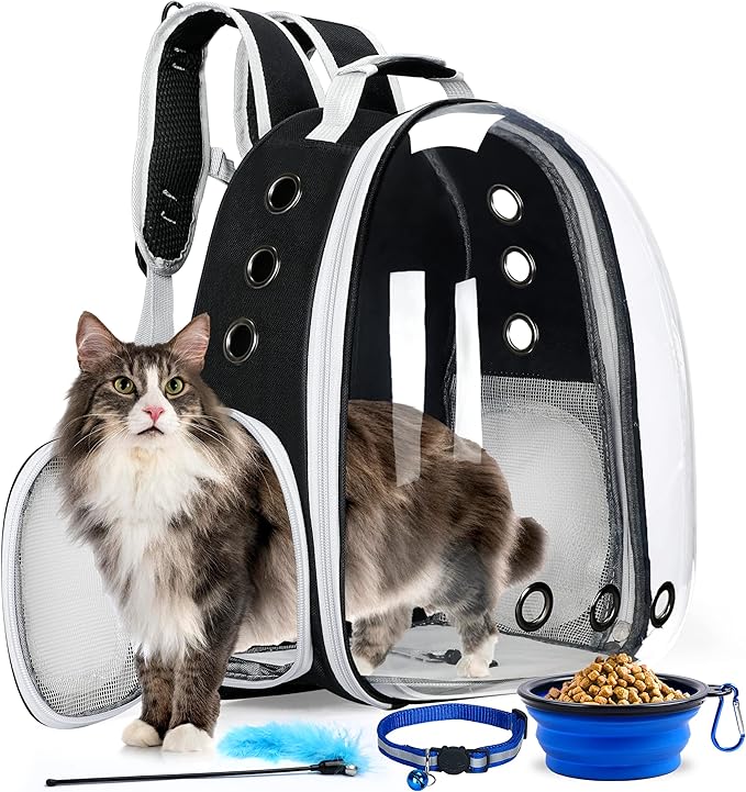 Cat Backpack Carrier with Collapsable Dog Bowl, Cat Collar & Interactive Cat Toy - Airline Approved Bubble Carrying Bag for Medium Dogs & Cats, Animal Carrier Backpacks, Pet Backpack | Black