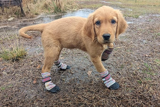 All Weather Neoprene Paw Protector Dog Boots with Reflective Straps in 5 Sizes! (Multicolor Small)