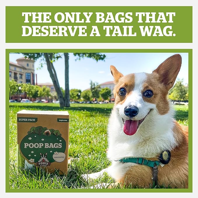 Pogi’s Dog Poop Bags with Handles – Extra-Thick, Leak-Proof, Large, Unscented, 900-Count