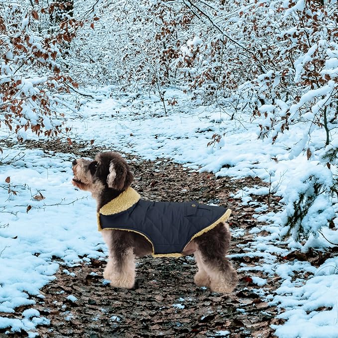 Queenmore Warm Coat for Cold Weather, Quilting Winter Jacket With Ultra Thick Plush Lining and Storage Pockets (Red, X-Small)