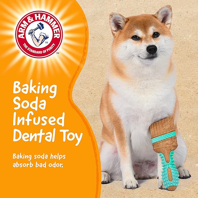 Arm & Hammer for Pets Chew Tools Collection: Wood Blend Paintbrush Chew Toy for Dogs | Compressed Wood Dog Chew Toys with Baking Soda, Safer & Durable Alternative to Chewing Sticks 7.5 Inch