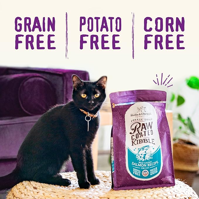 Stella & Chewy's Raw Coated Cat Food - High Protein, Grain-Free Kibble with Wild-Caught Salmon - Premium Digestive Support with Probiotics - Natural Small Kibble - Perfect For Picky Eater - 10 lb Bag