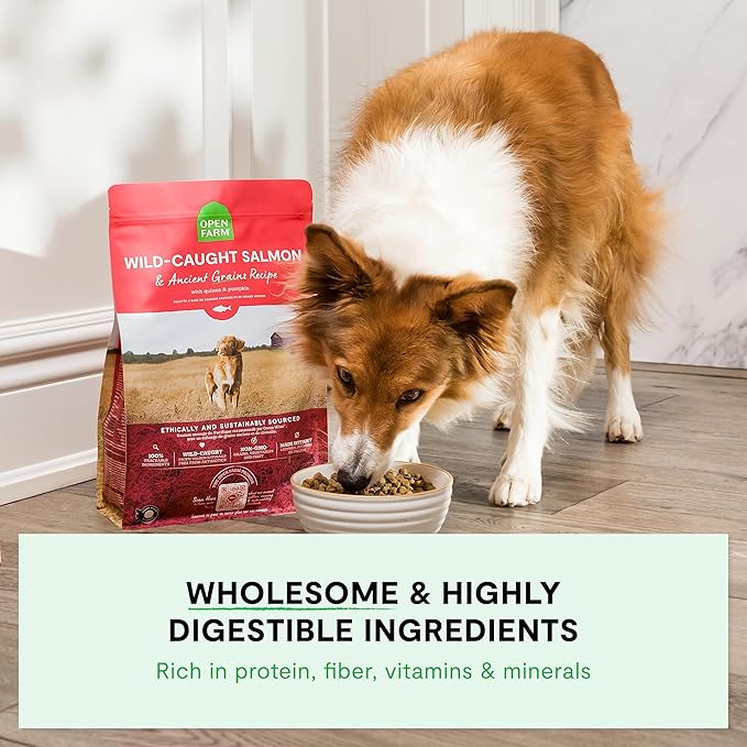 Open Farm, Ancient Grains Dry Dog Food, Protein-Rich & Nutrient Dense, 90% Animal Protein Mixed with Non-GMO Fruits, Veggies and Superfoods, Pasture Raised Lamb Recipe, 22lb Bag