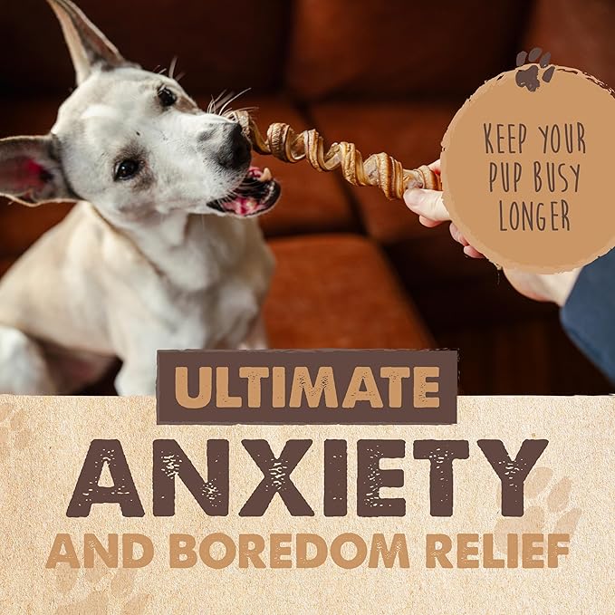 Mighty Paw Naturals Curly Bully Sticks for Dogs - Grass Fed Beef Chews. Bully Sticks for Large Dogs, Medium, Small Breeds. Lower Odor Treats for Small Pets. Single Ingredient 6” - 5 Pack