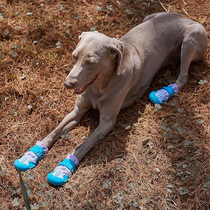 Dog Shoes, Waterproof Dog Boots & Paw Protectors with Anti-Slip Sole, 4pcs/Set Pet Dog Booties, Reflective Dog Shoes for Small Medium Large, Winter Snowy Summer Hot Pavement (Blue, 4# (S))