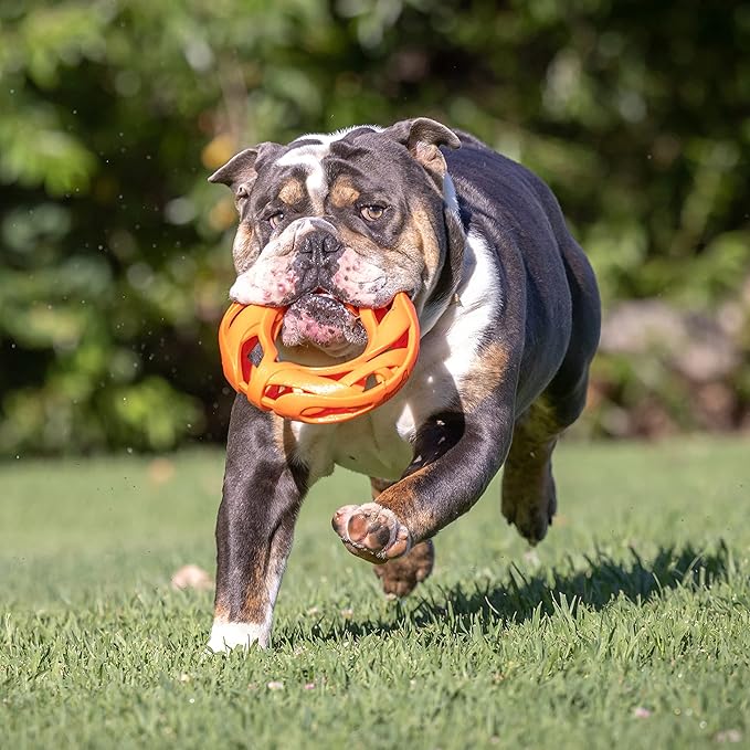 Chuckit! Air Fetch Wheel Dog Toy, Orange