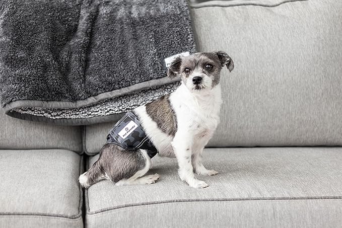 Pet Parents® Washable Belly Bands for Male Dogs (3pack) + Extendrs® of Durable Dog Diapers Male, Premium Male Dog Diapers & Dog Wraps (Small, Camo)