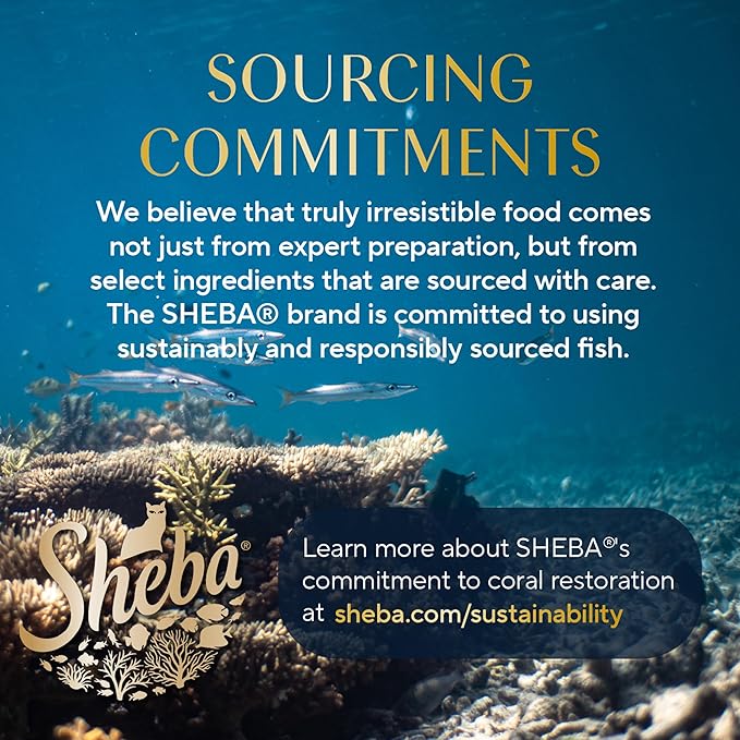 Sheba Perfect Portions Wet Cat Food Cuts in Gravy, with Sustainable Tuna, Roasted Chicken Entree, 2.6 oz. Twin-Pack Trays (6 Count, 12 Servings)