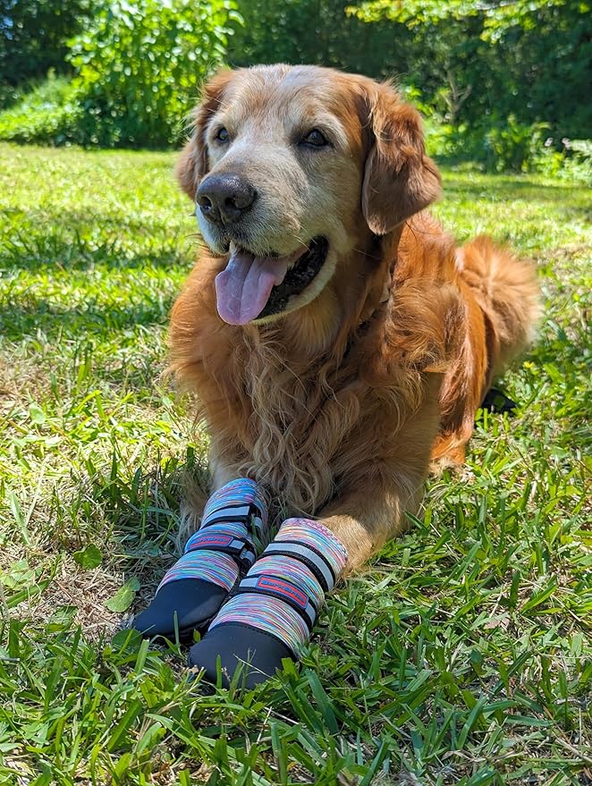 All Weather Neoprene Paw Protector Dog Boots with Reflective Straps in 5 Sizes! (Multicolor XXL)