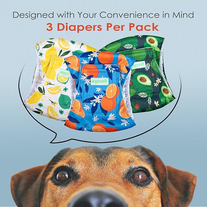 wegreeco Washable Male Dog Belly Band (Stylish Pattern)- Pack of 3 - Washable Male Dog Belly Wrap, Dog Diapers Male (Fruit, Medium)