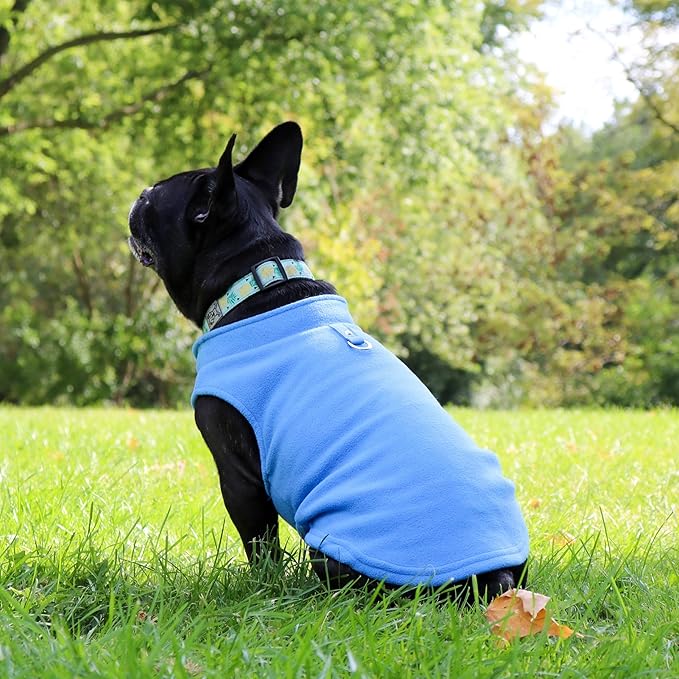 JACKO & CO - Fleece Vest Dog Sweater with Leash Ring - Soft, Warm & Lightweight Pullover Coat for Small & Medium Dogs, Puppies & Cats - Cozy Fall/Winter/Spring Pet Jacket (Blue, Small 4-6lbs)