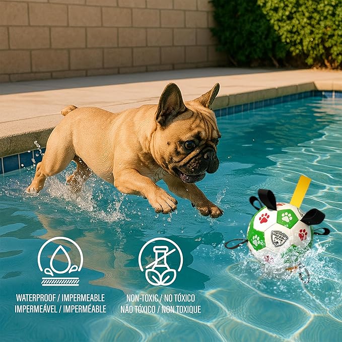 ProBall Pets Interactive Dog Soccer Ball with Grab Tabs - Floats on Water, Fetch & Training Toy for Small Medium Dogs, Herding Breeds - Waterproof Non-Toxic - 6" Green Red