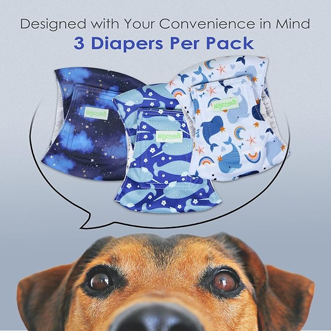 wegreeco Washable Male Dog Belly Band (Stylish Pattern)- Pack of 3 - Washable Male Dog Belly Wrap, Dog Diapers Male (Whale, S)