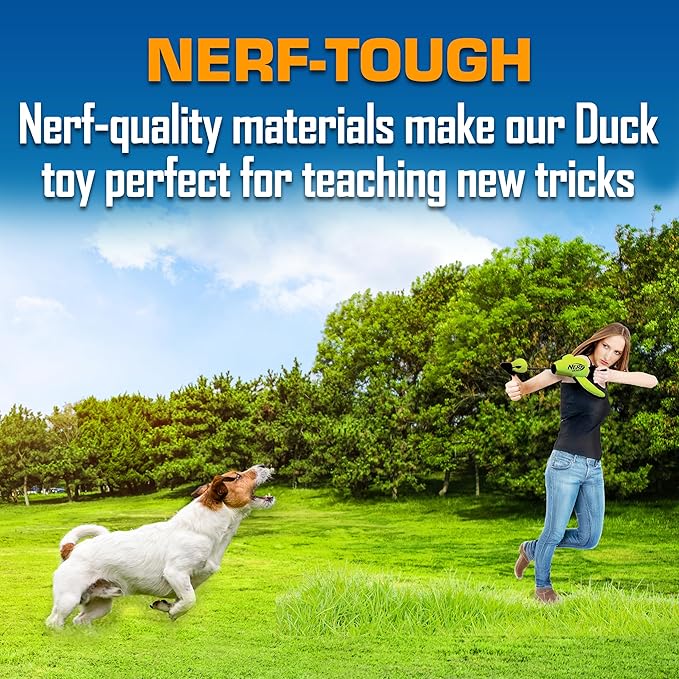 Nerf Dog Trackshot Launching Duck Dog Toy, 16.5 Dog Fetch Toy for Medium and Large Breeds, Green