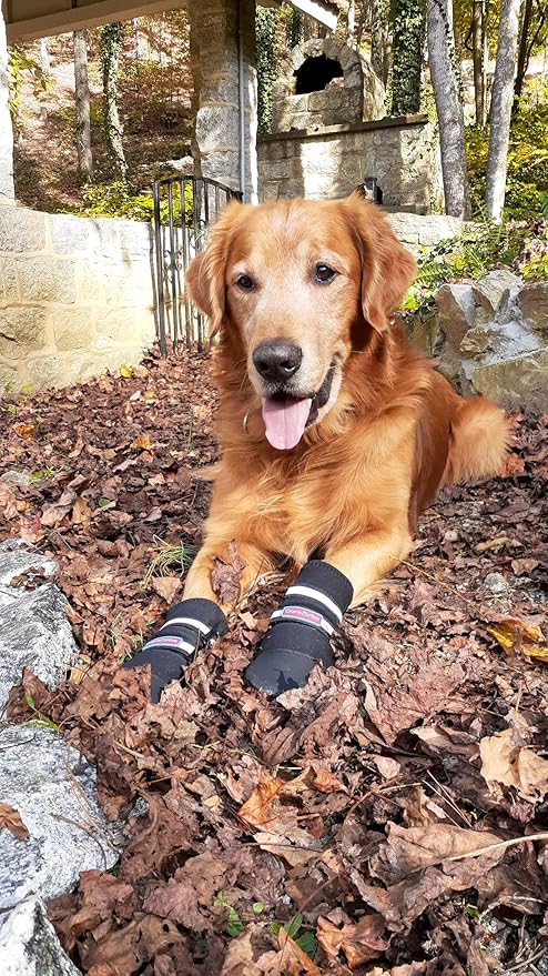 All Weather Neoprene Paw Protector Dog Boots with Reflective Straps in 5 Sizes! (Black XL)