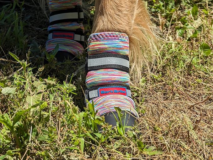 All Weather Neoprene Paw Protector Dog Boots with Reflective Straps in 5 Sizes! (Multicolor XL)