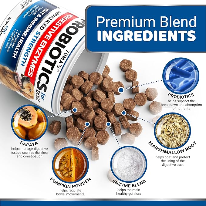 Probiotics for Dogs and Digestive Enzymes - 170 Dog Probiotics Chews - Dog Probiotic - Anti Diarrhea, Upset Stomach & Gas Relief, Canine Prebiotic - Pet Fiber Supplement - Bacon Flavor