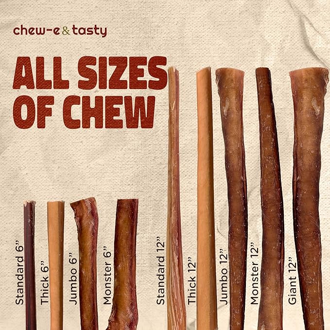 chew-e&tasty Premium Grade 6" Monster Bully Sticks (Pack of 5) - All Natural Free-Range Odor Free High Protein Dental Dog Chews Safest Long Lasting Pizzle Chews to Keep Your Dog Busy for Large Dogs
