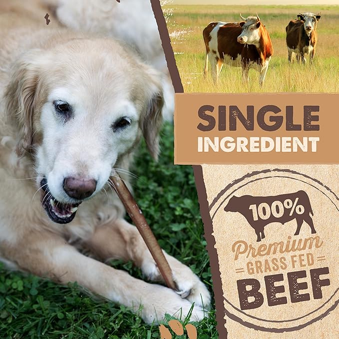 Mighty Paw Naturals Bully Sticks for Small & Medium Dogs - Grass Fed Beef Chews. Bully Sticks for Large Dogs. Lower Odor Stick Treat. Single Ingredient (12" - 10 Pack)