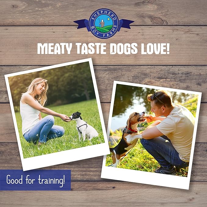 Shepherd Boy Farms Freeze Dried Dog and Cat Treats, Chicken Heart, All Natural Freeze-Dried Dog Treat & Snacks, Made in USA, High in Protein, Single Ingredient, Made in The USA, 3oz